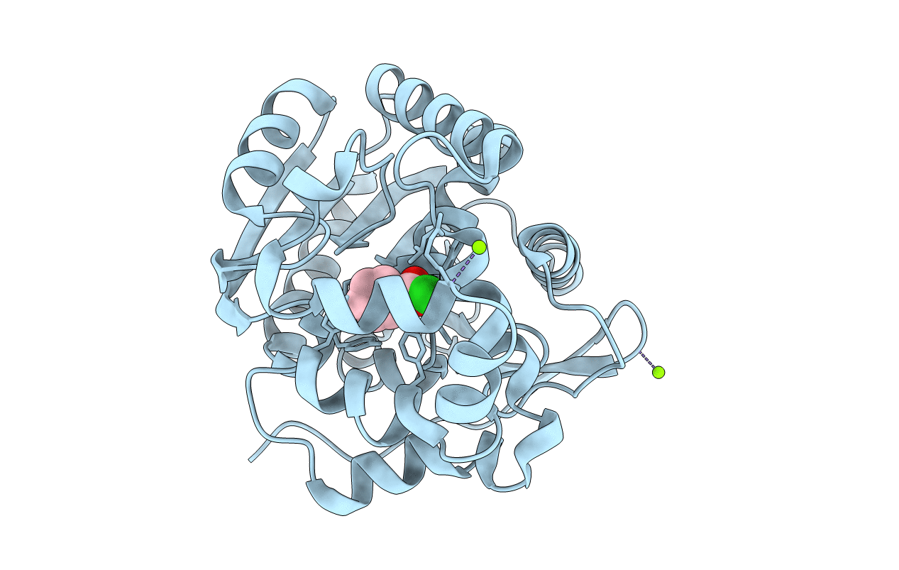 3FBW image