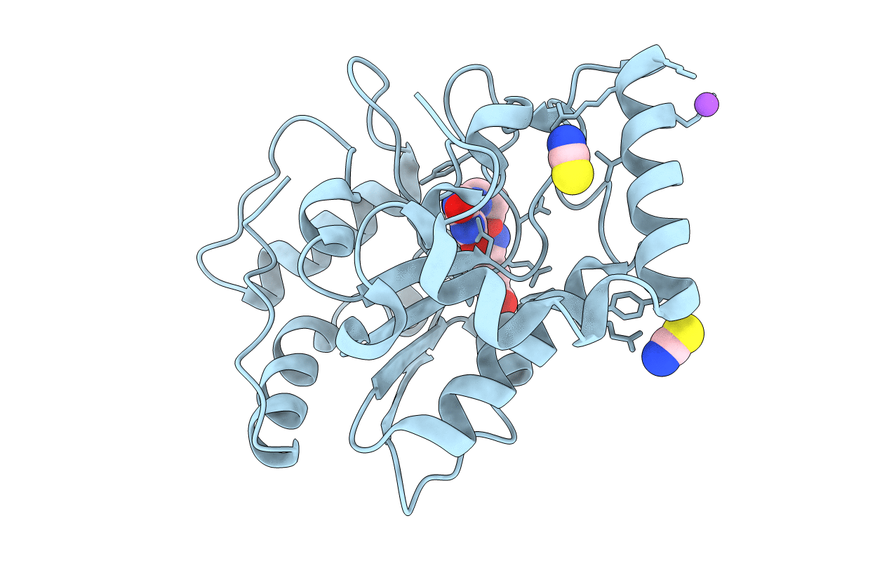 3FCI image