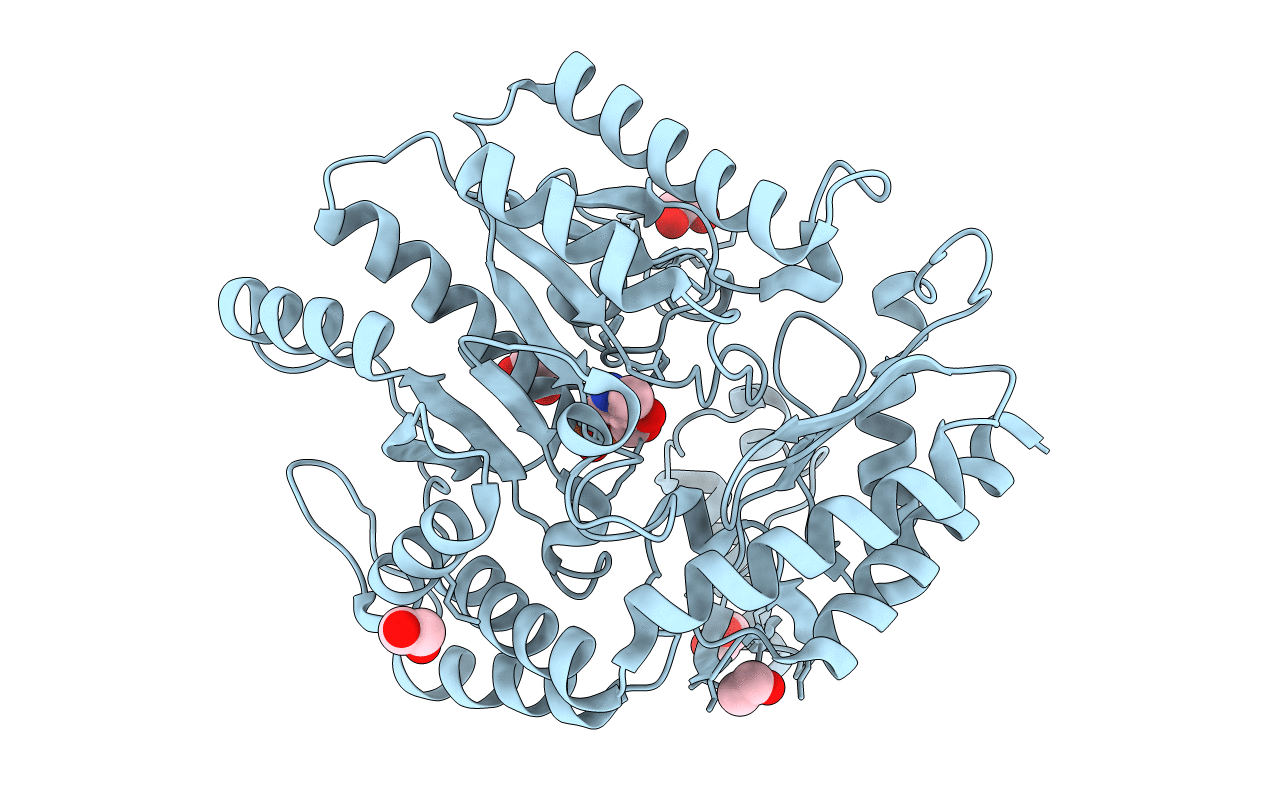 3FCR image