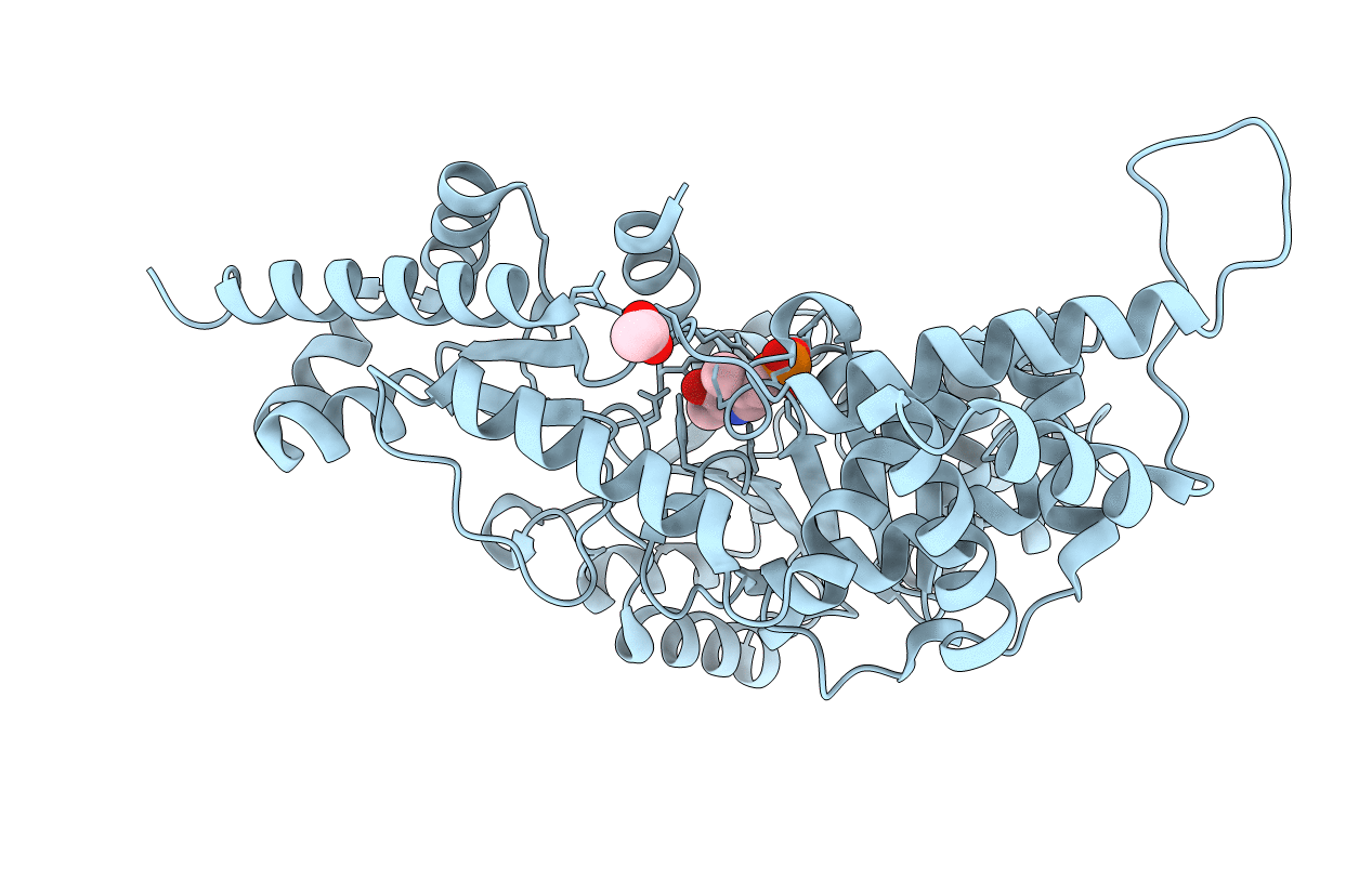 3FDD image