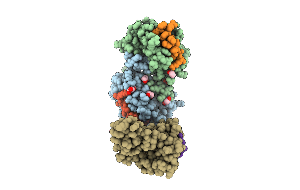 3FDM image