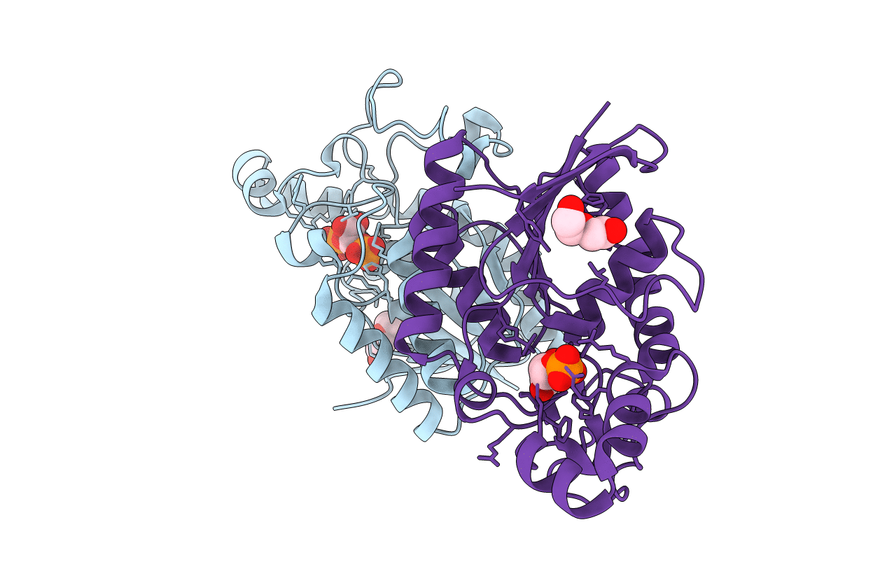 3FDZ image