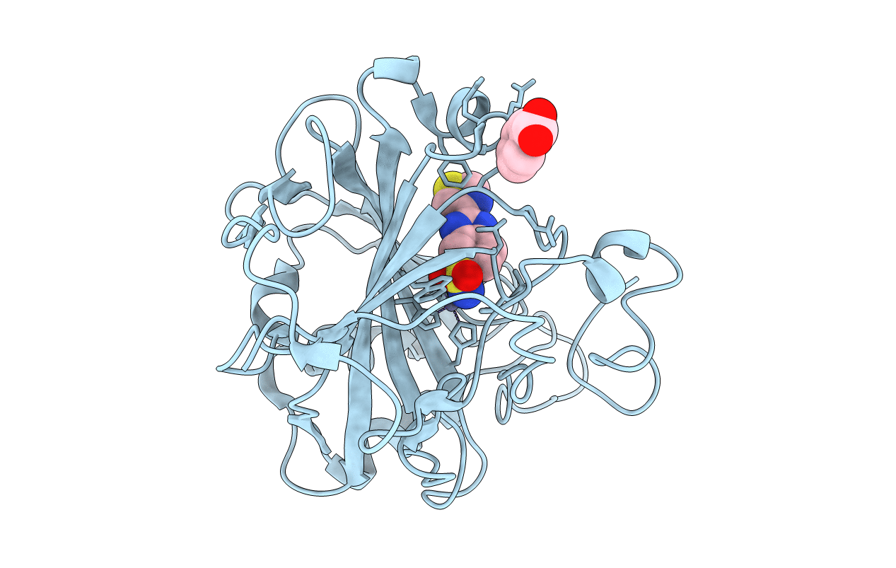3FFP image