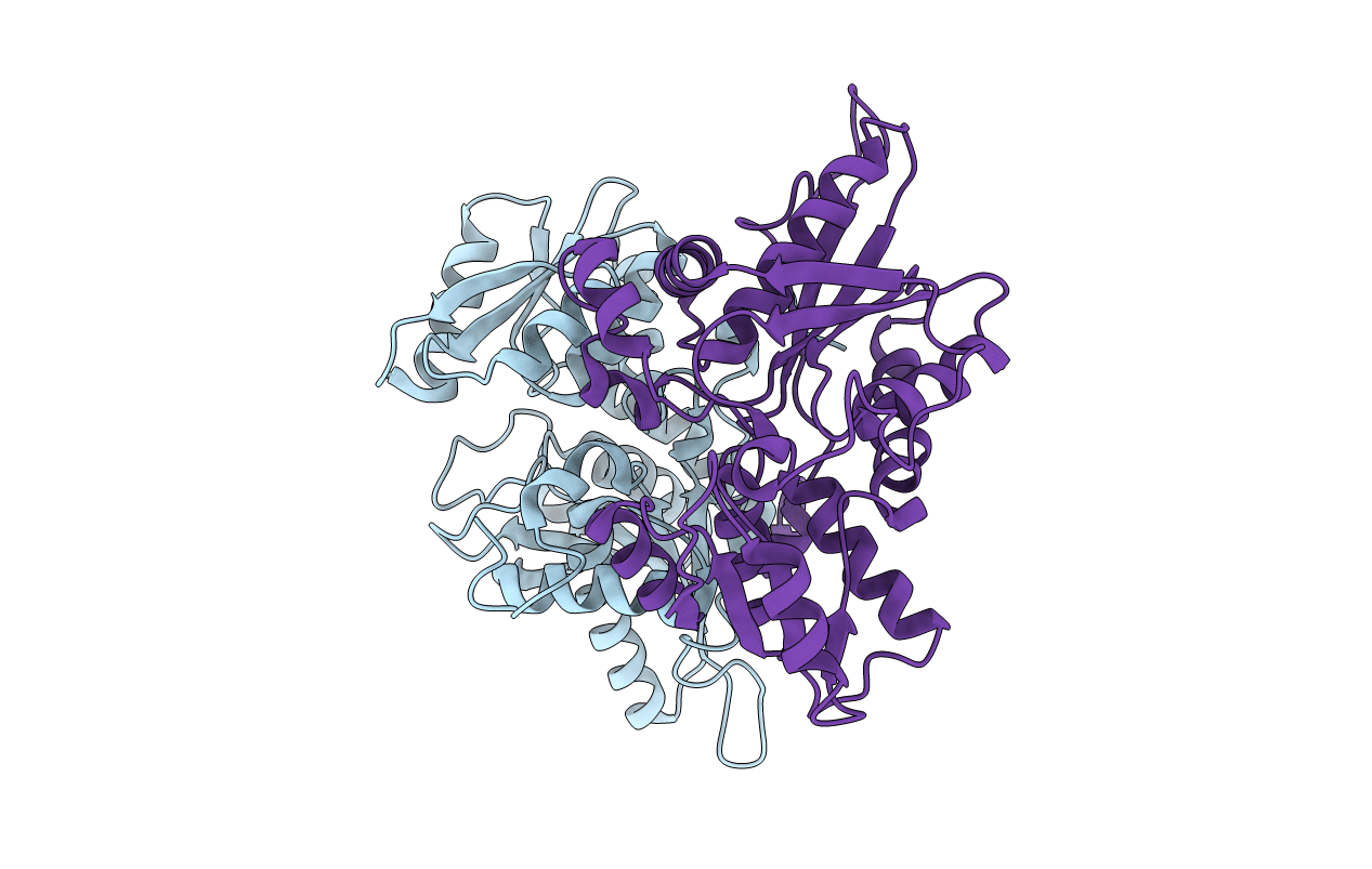 3FGP image