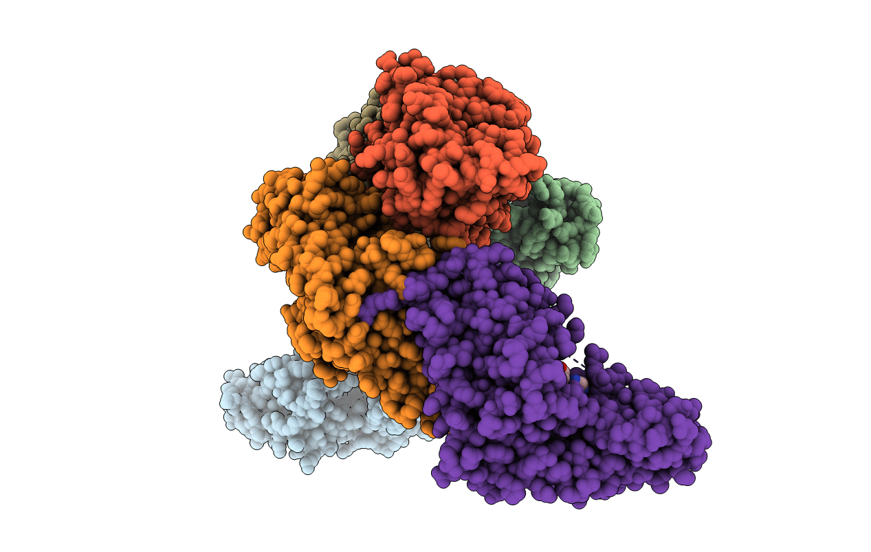 3FHJ image