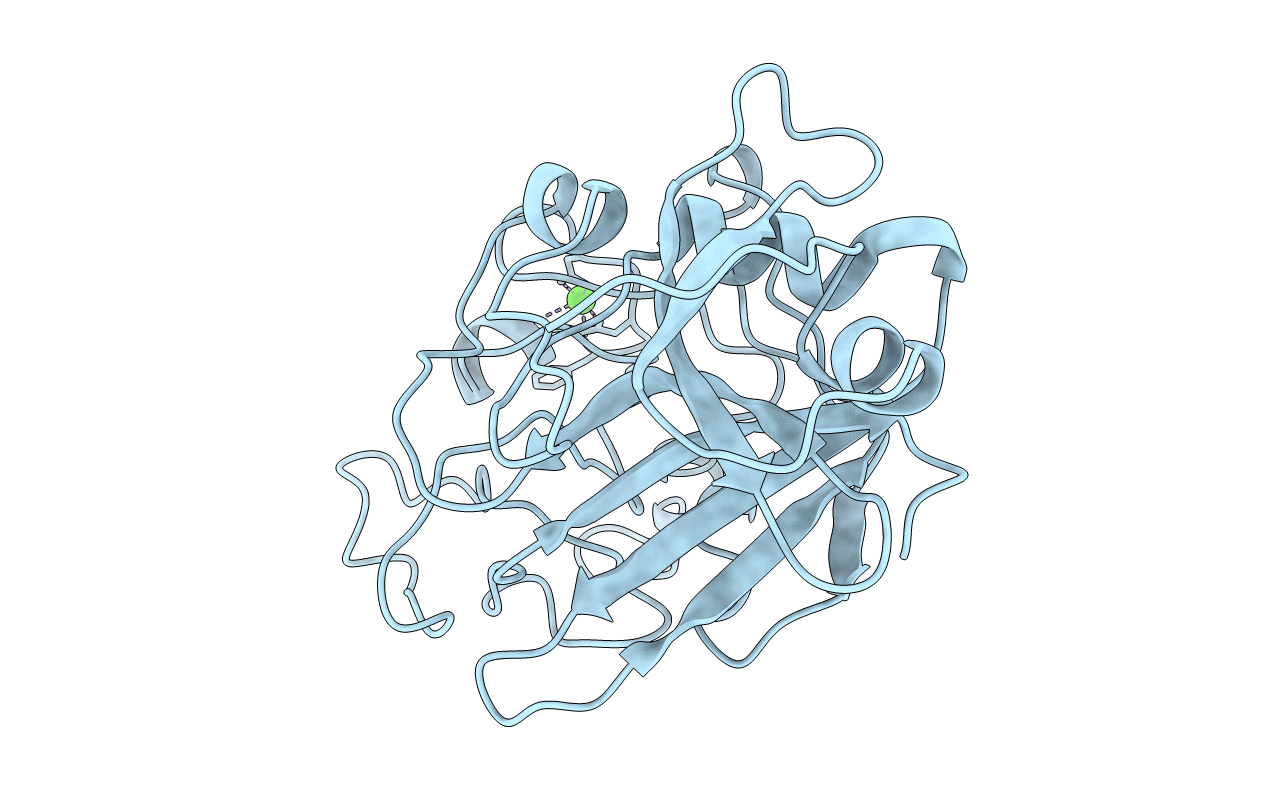 3FIB image