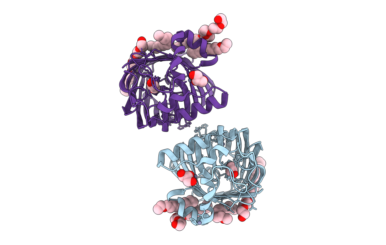 3FID image