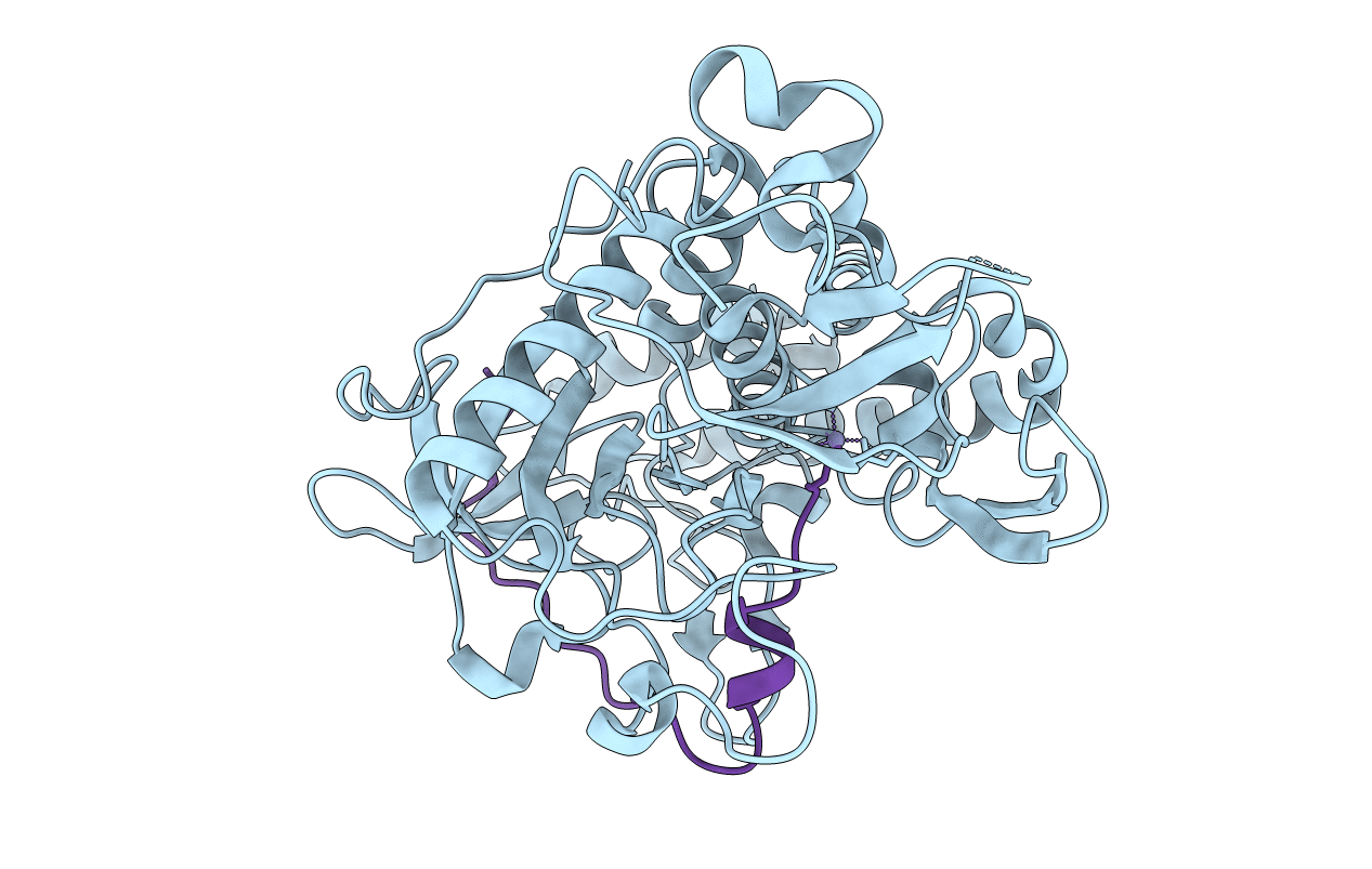 3FII image