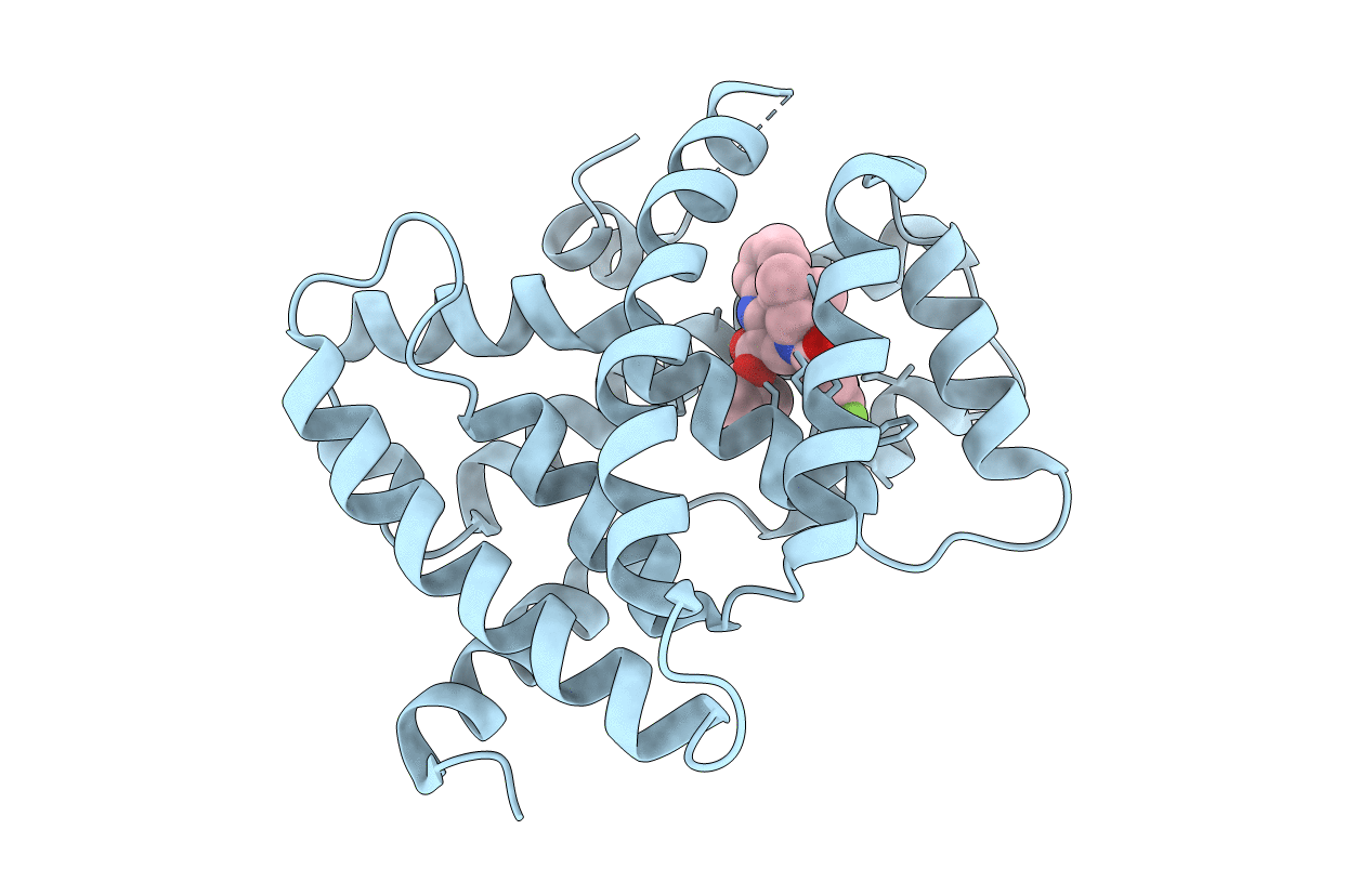 3FLI image