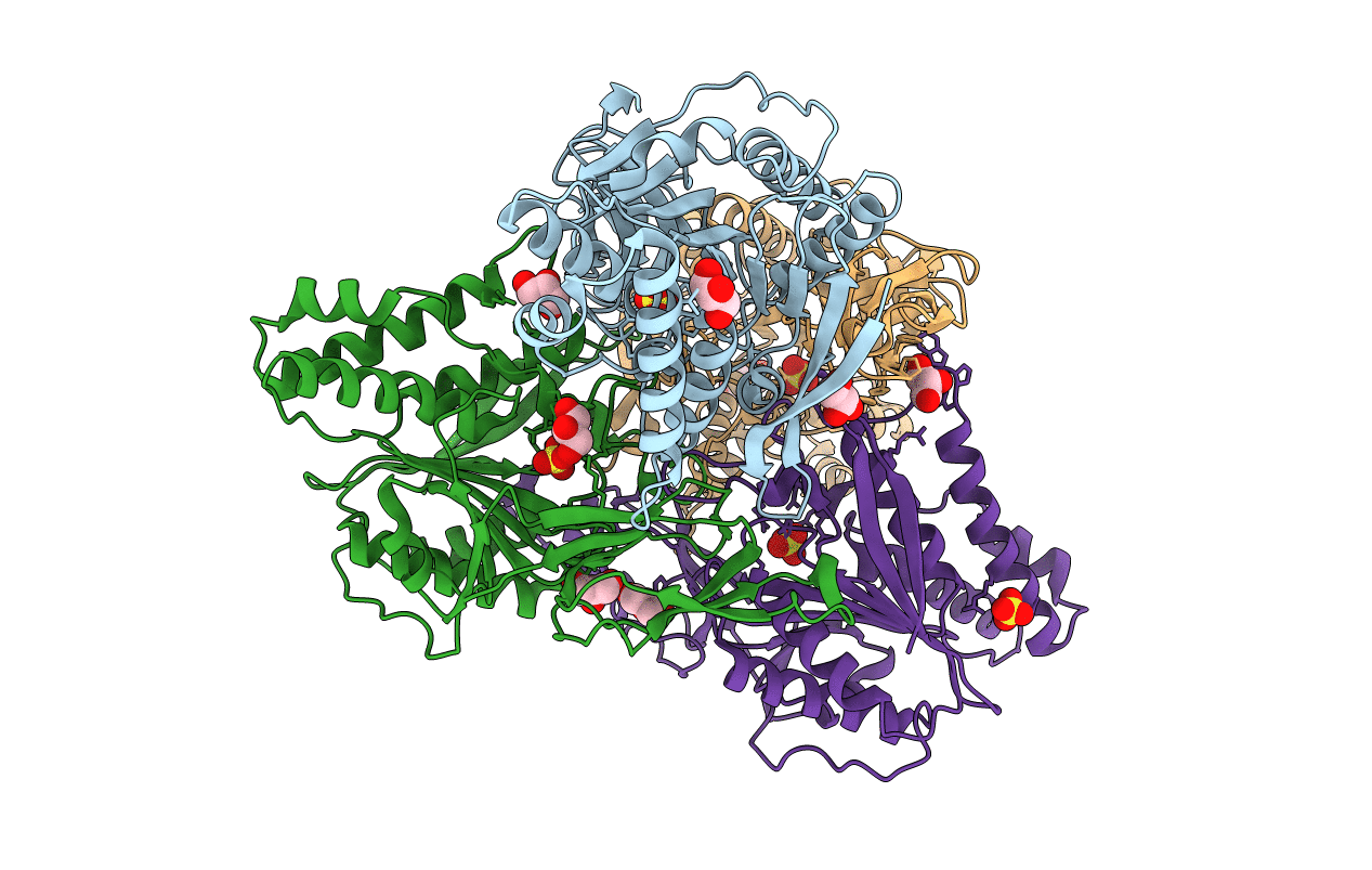 3FMC image
