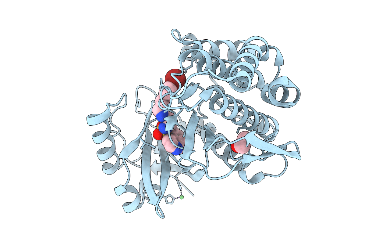 3FMD image