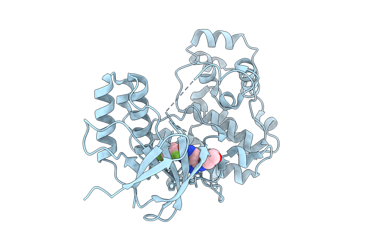 3FMN image