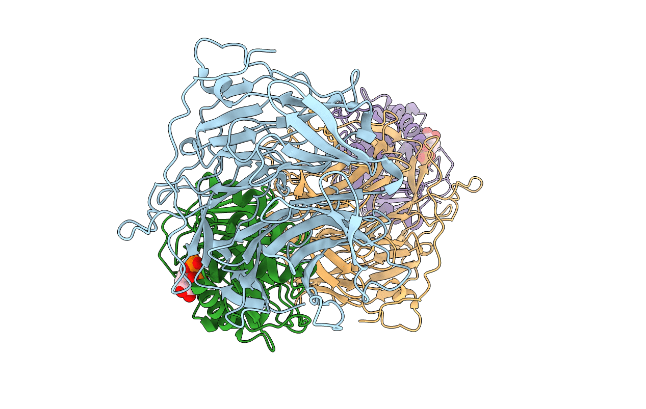 3FMP image