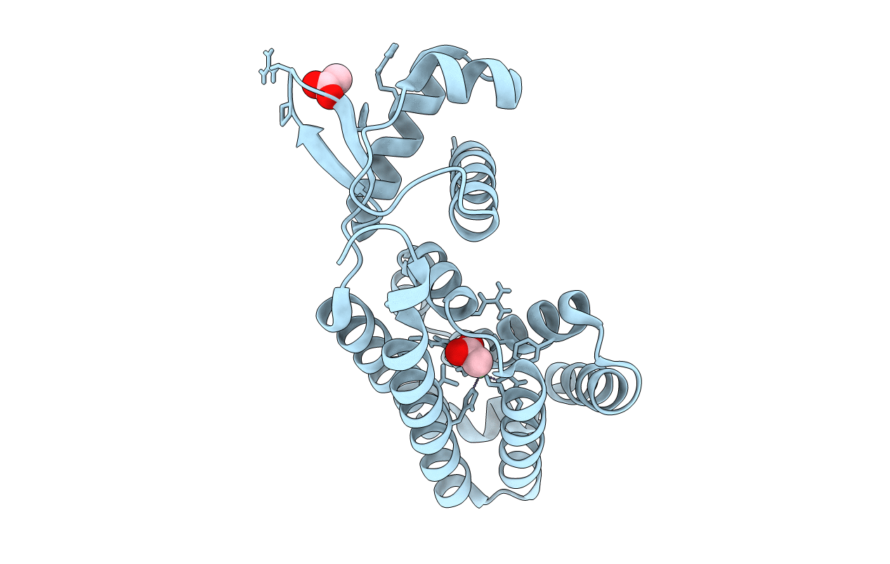 3fms image