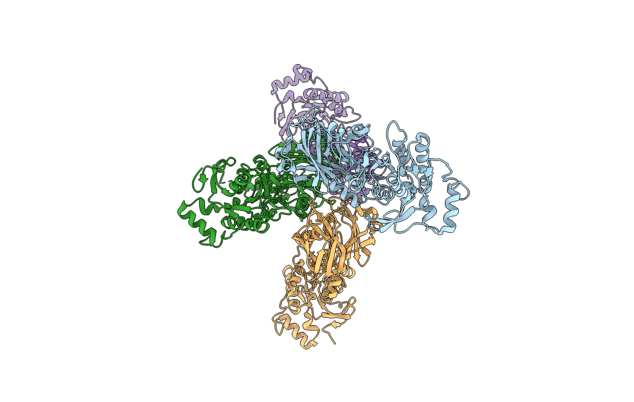 3FOA image