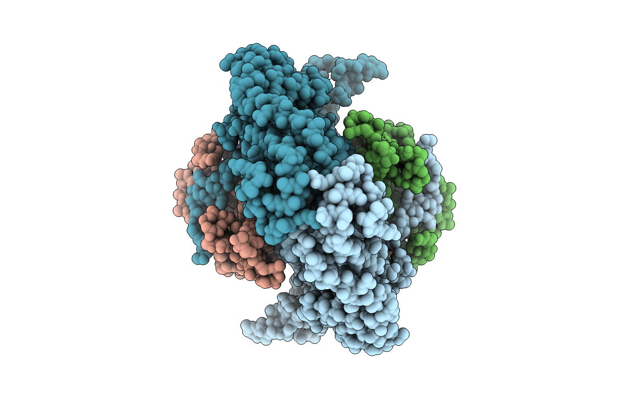 3FOE image