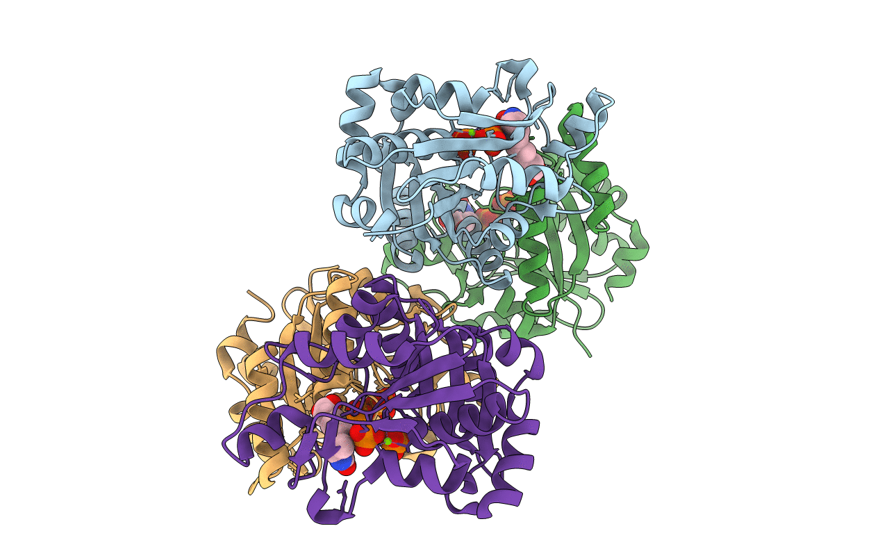 3FPA image