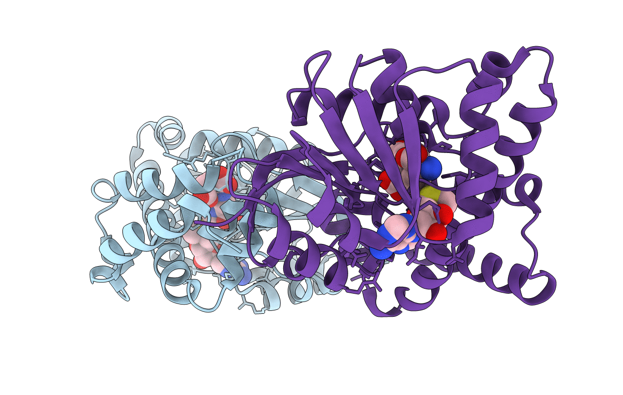3FPF image