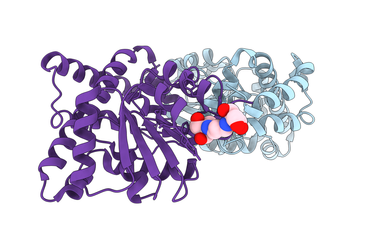 3FPG image