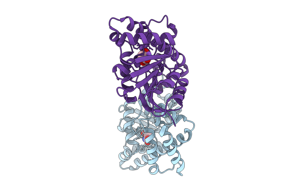 3FPH image