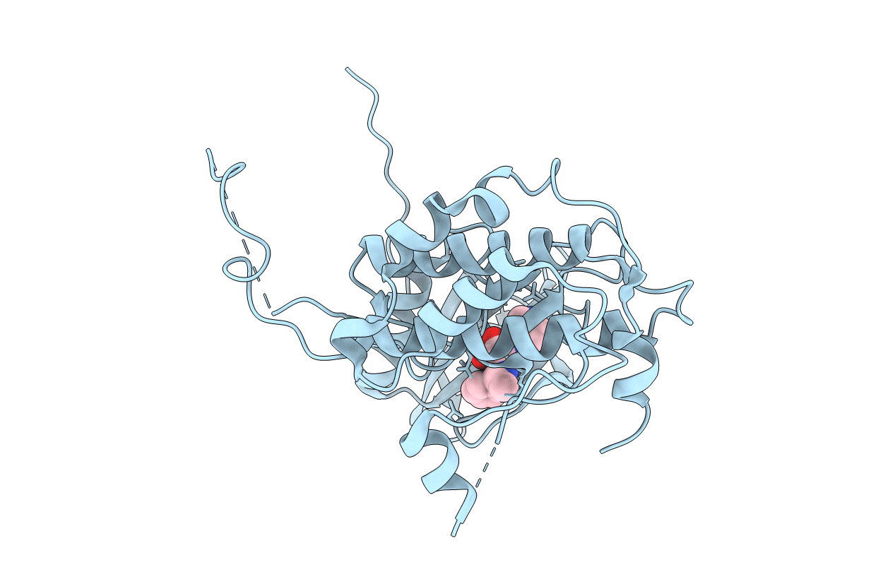 3FPM image