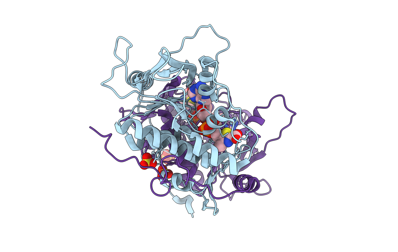 3FPZ image