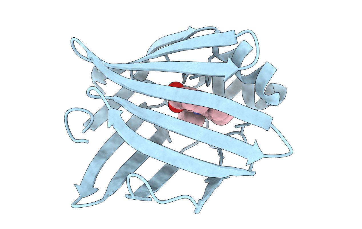 3FR2 image