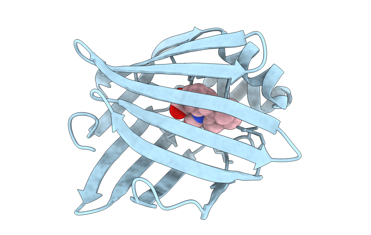 3FR5 image