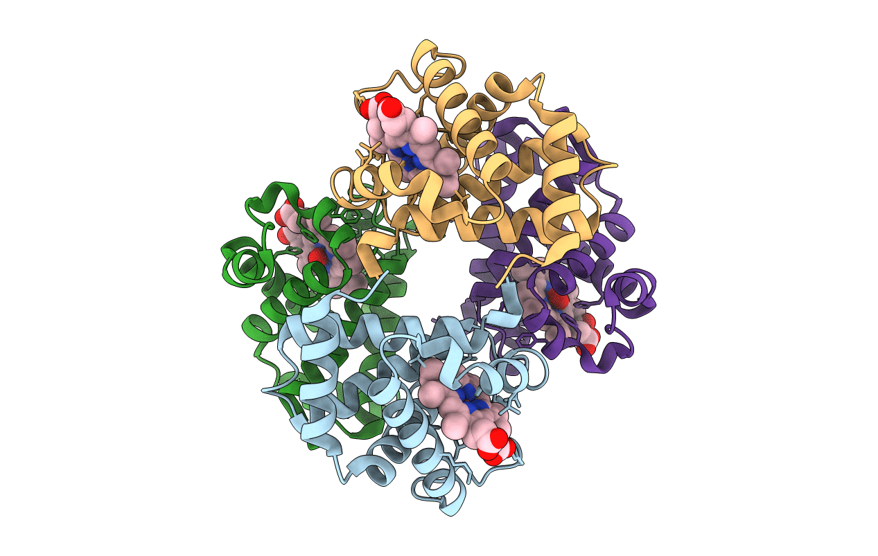 3FS4 image