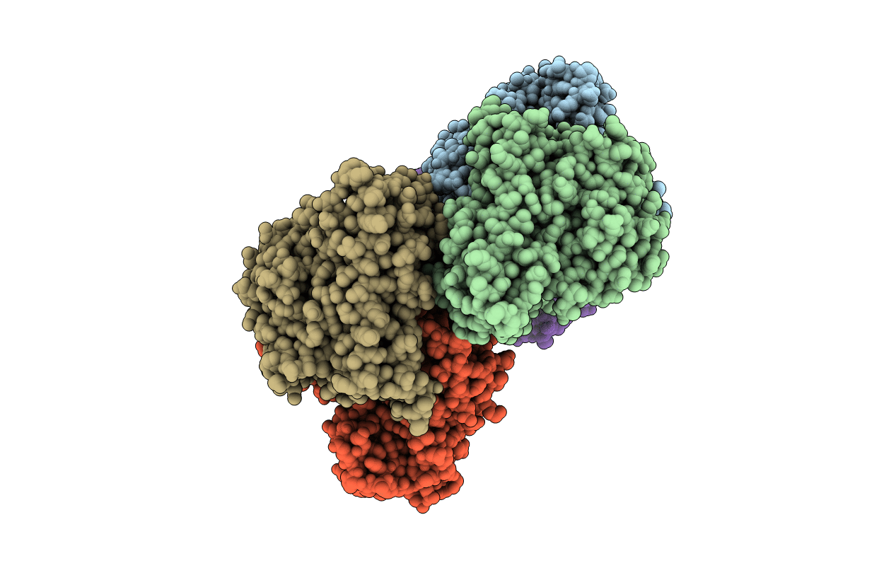 3FSL image