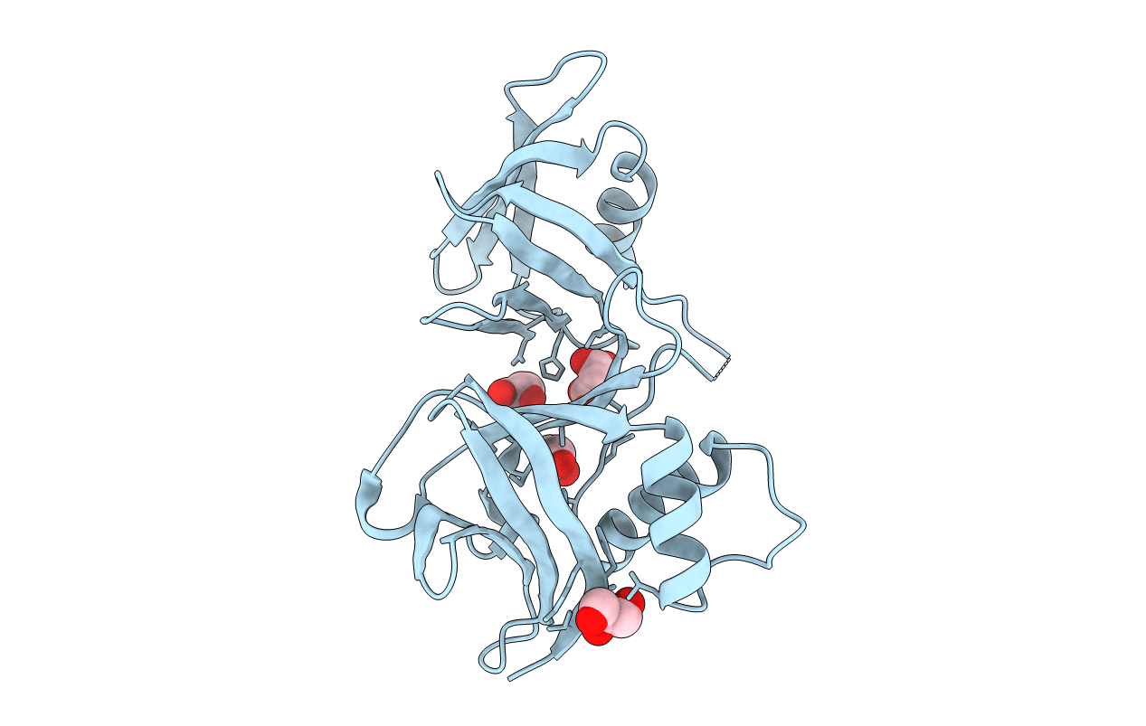 3FSS image