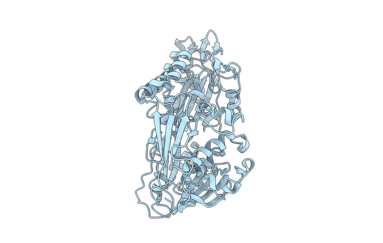 3FTO image
