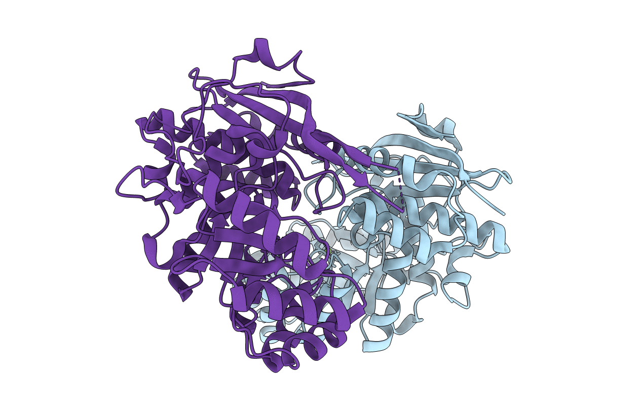 3FVD image