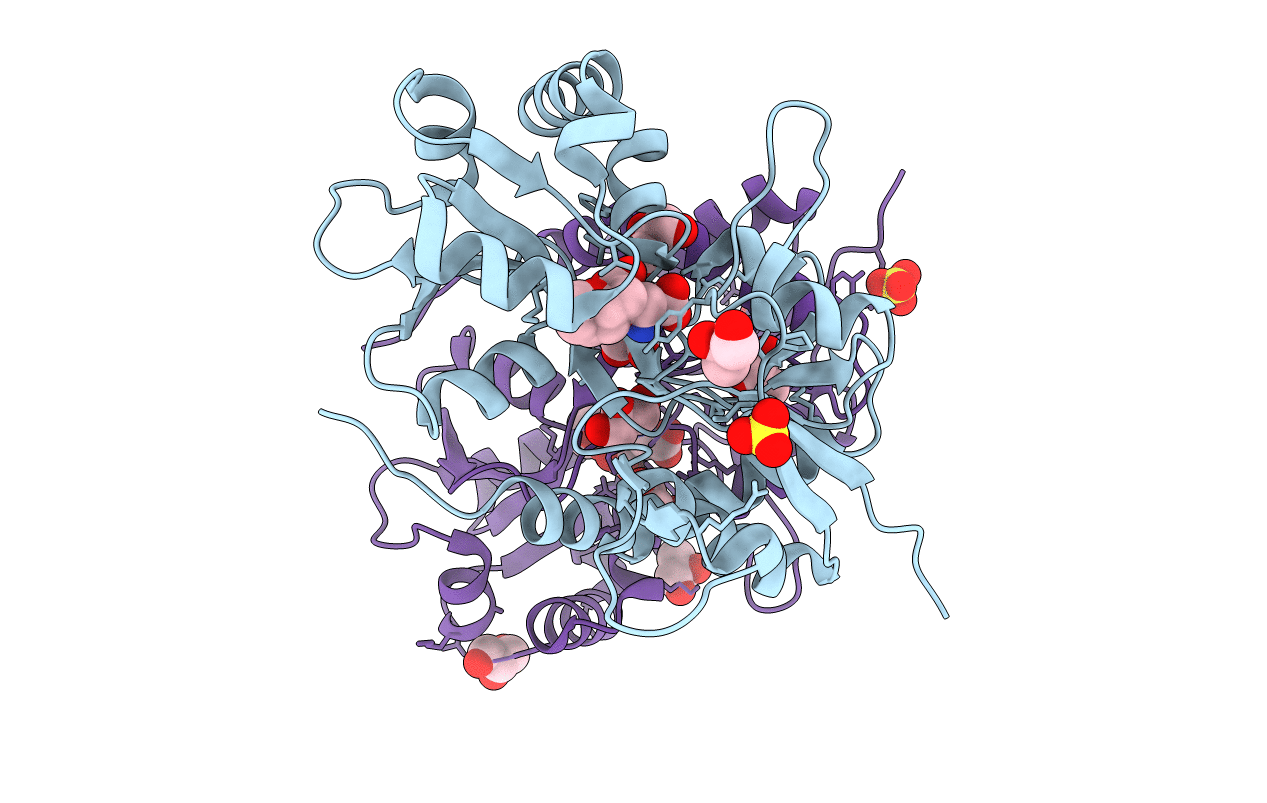 3FVN image
