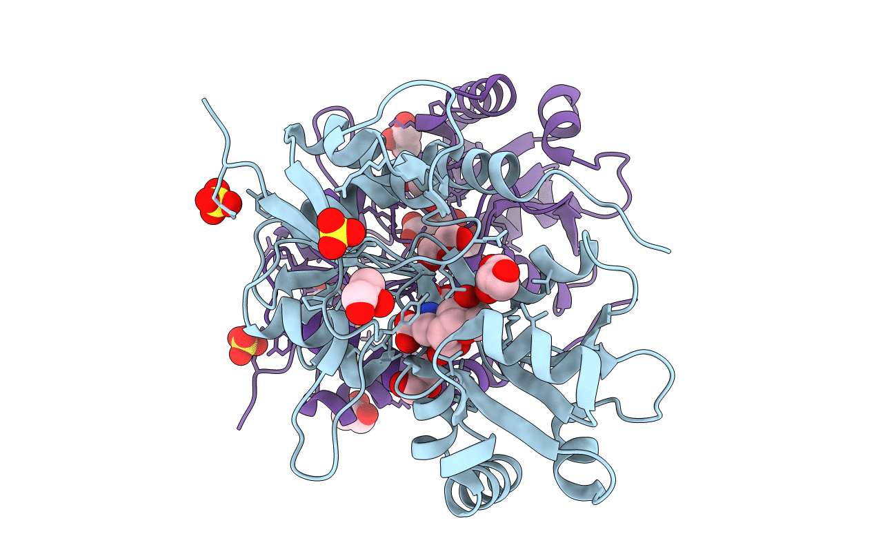 3FVO image