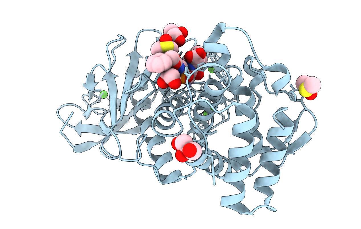 3FVP image
