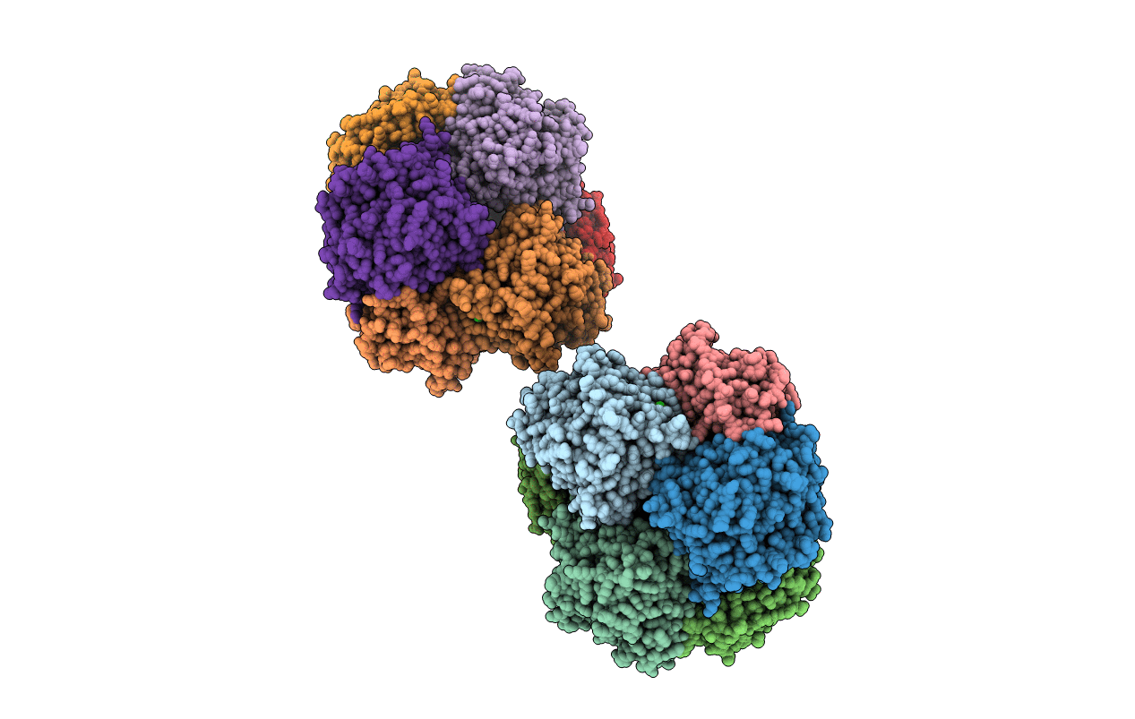 3FVR image