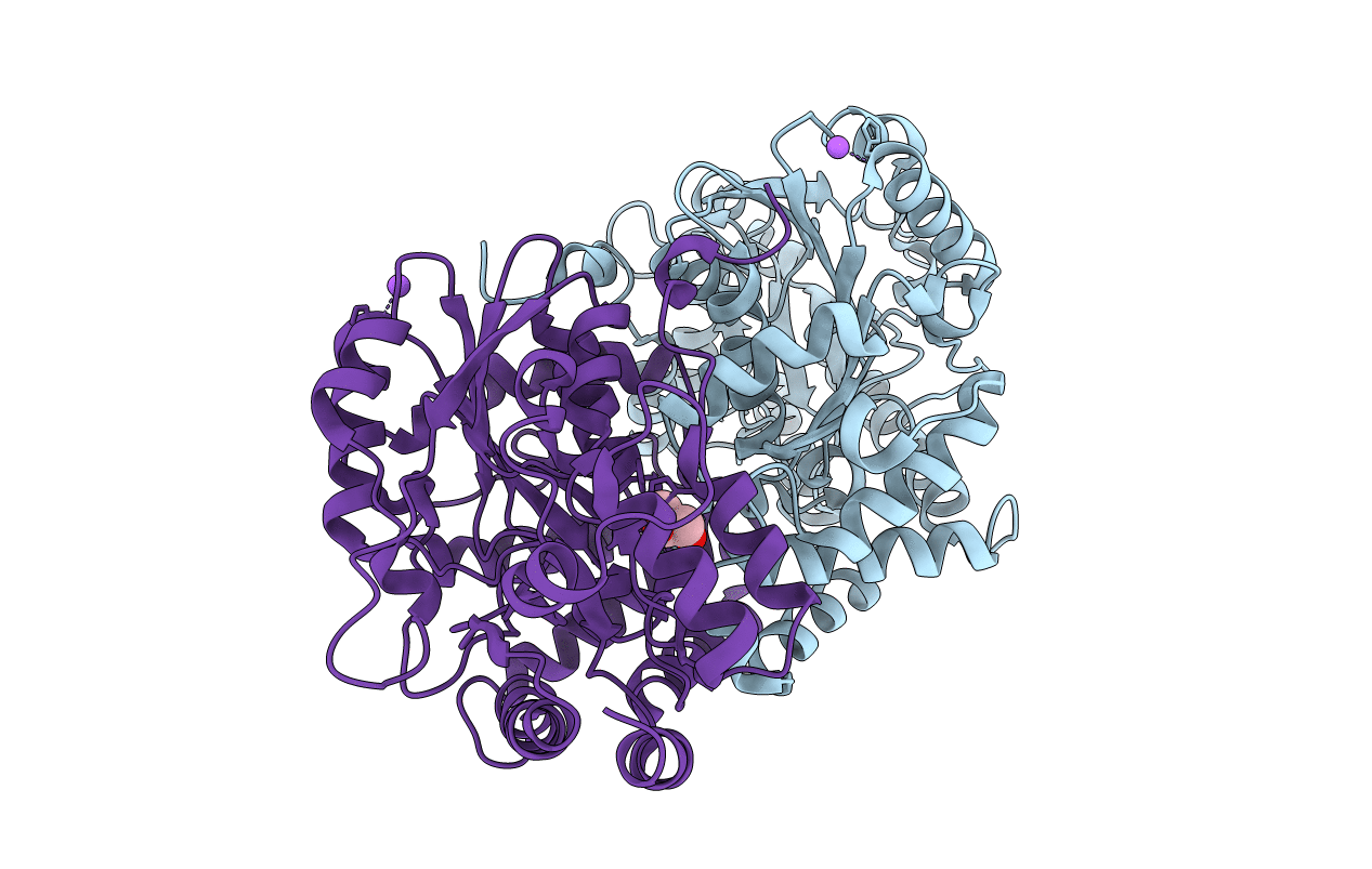 3FVS image