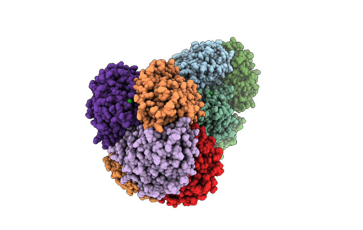 3FVT image