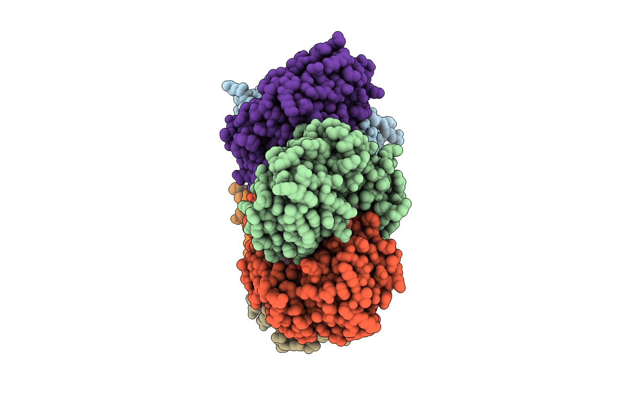 3FWP image
