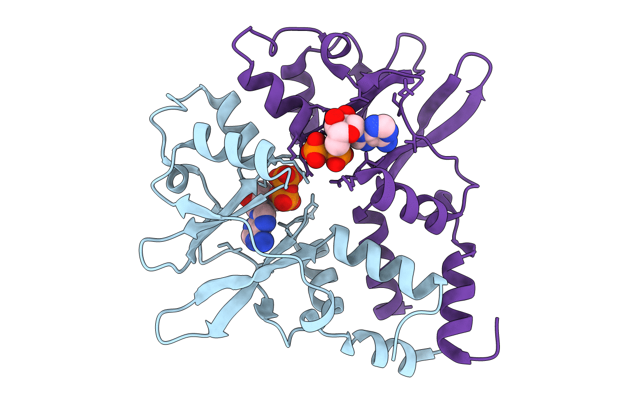 3FWR image