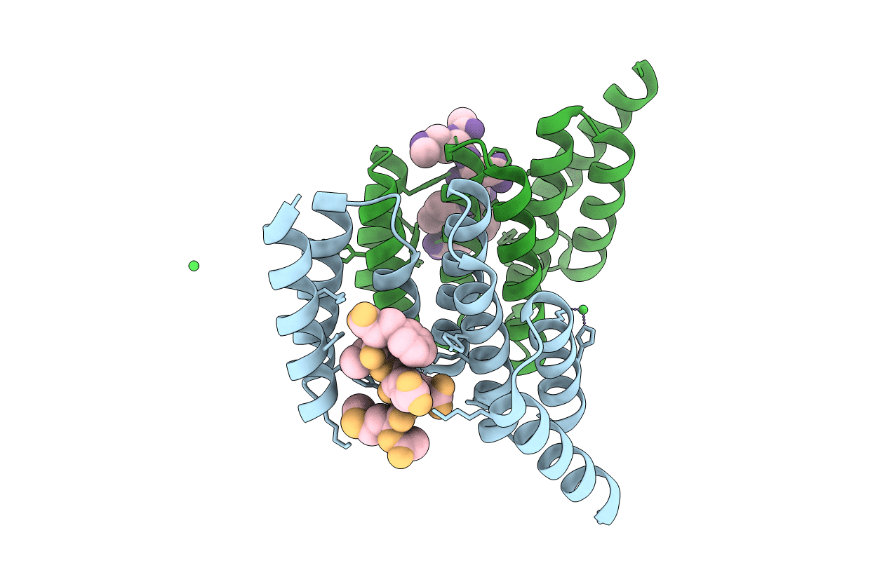 3FWV image