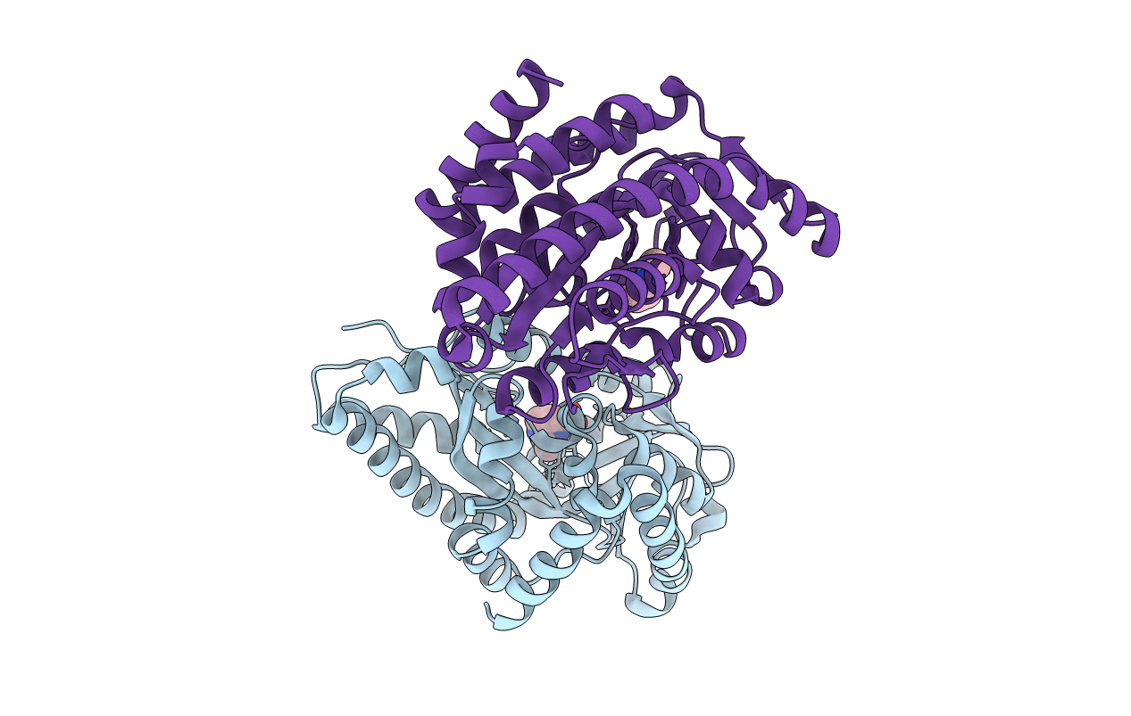 3FXB image