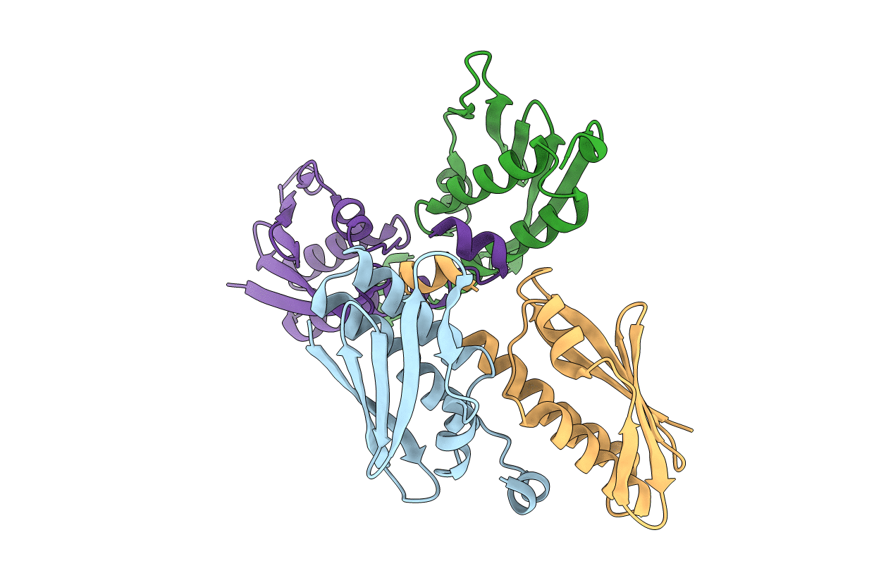 3FY6 image