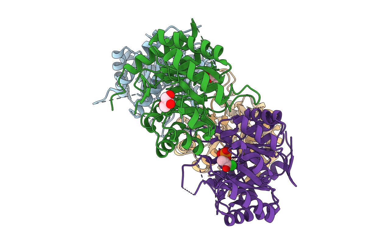 3FYP image