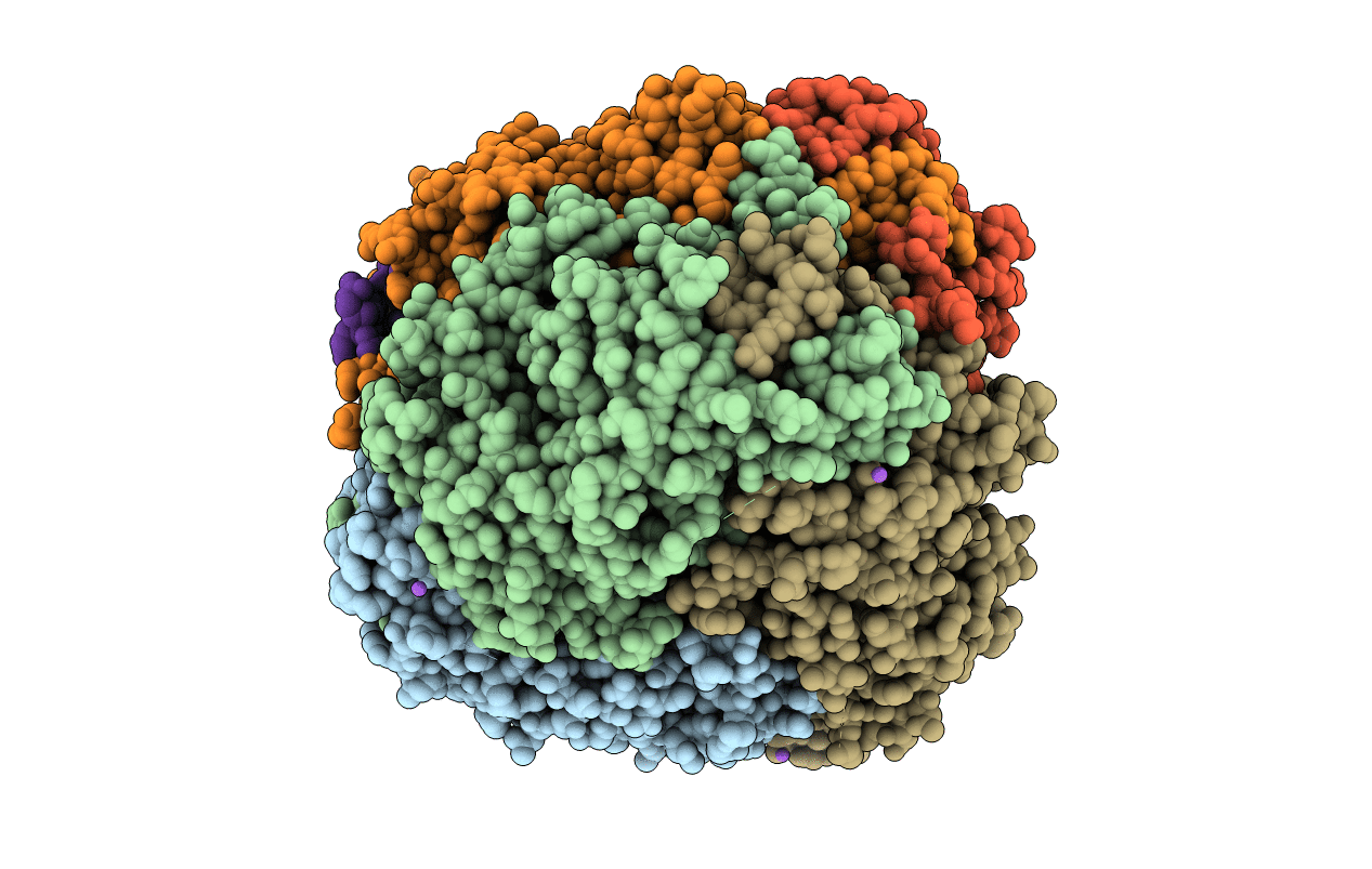 3FZ3 image