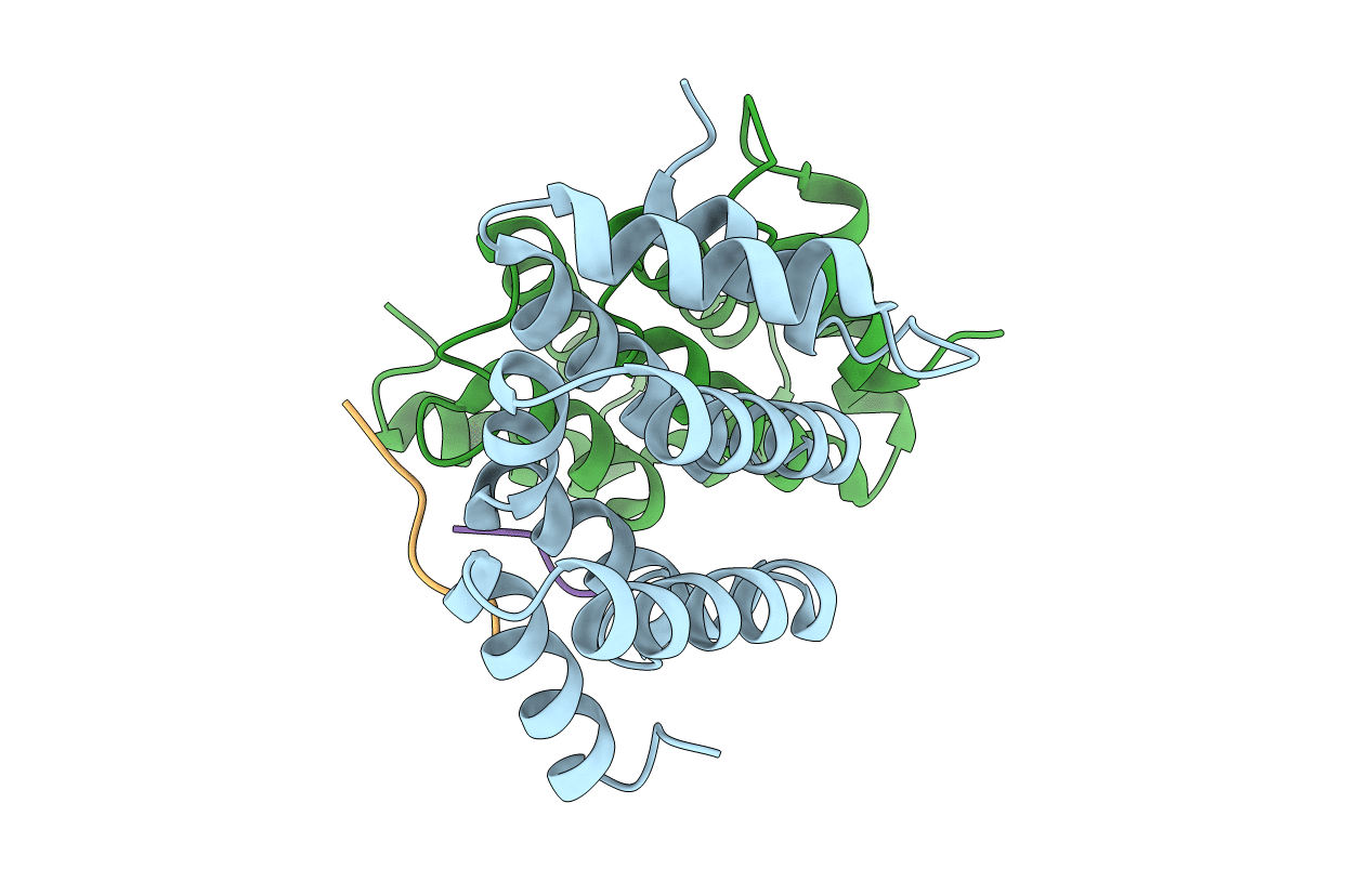 3G2U image