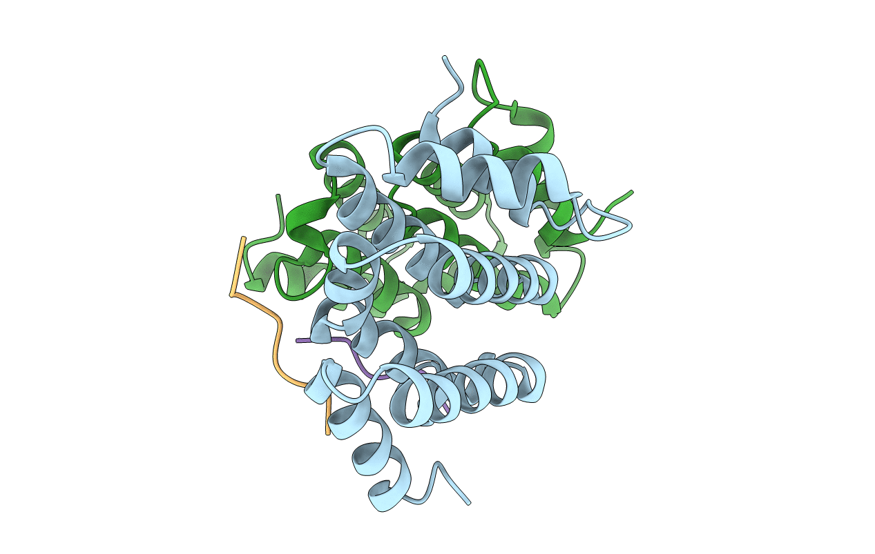3G2V image