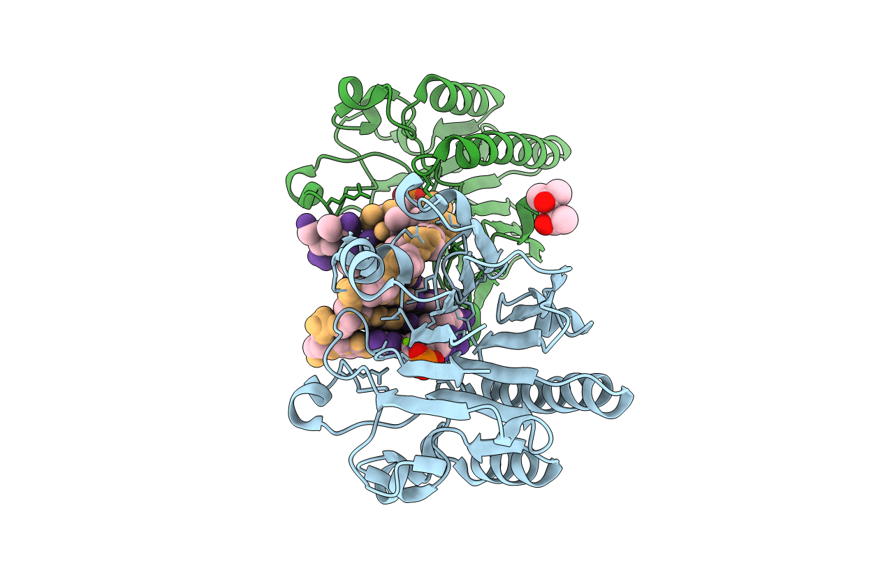 3G3C image
