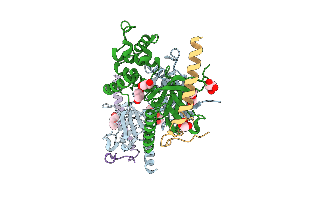 3G9W image